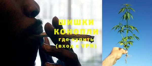 ешки Осинники
