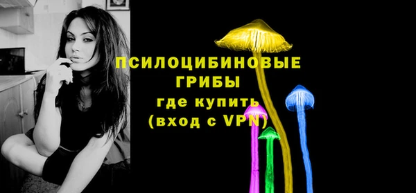 молекула духа Алзамай