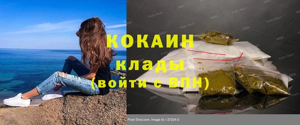 ПСИЛОЦИБИНОВЫЕ ГРИБЫ Алексин
