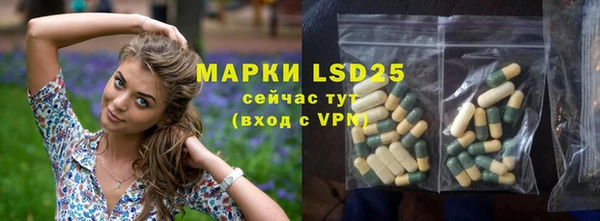 ПСИЛОЦИБИНОВЫЕ ГРИБЫ Алексин
