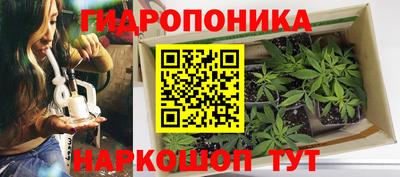 бошки Будённовск