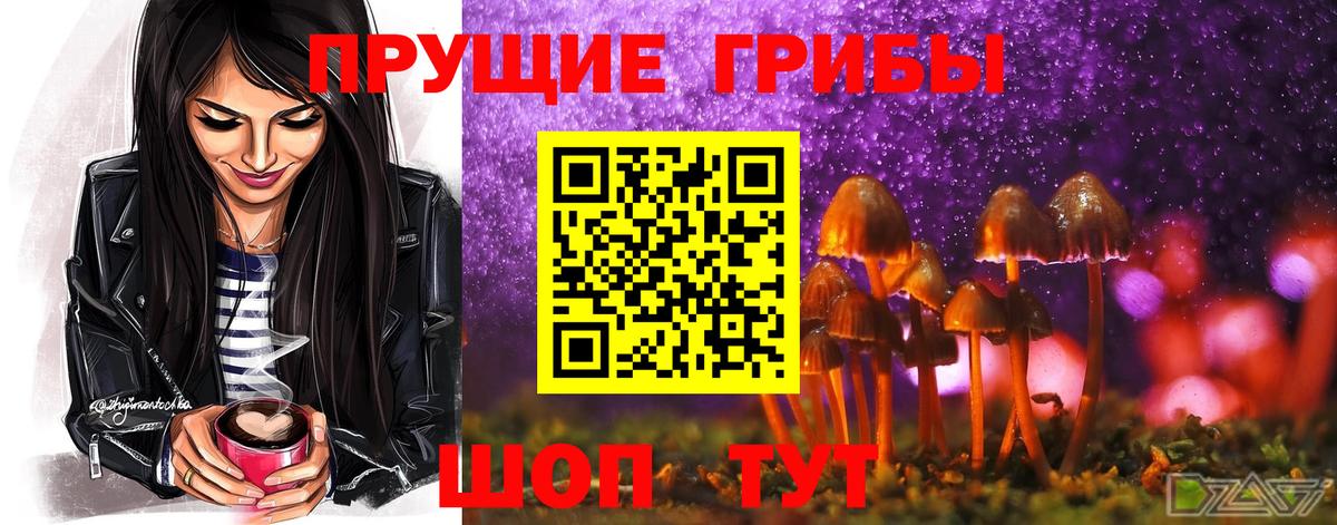 Галлюциногенные грибы Cubensis  Вход с VPN  Новочеркасск 