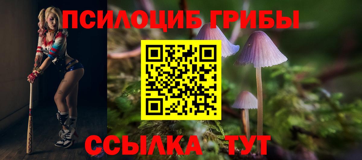 Галлюциногенные грибы ЛСД Новочеркасск